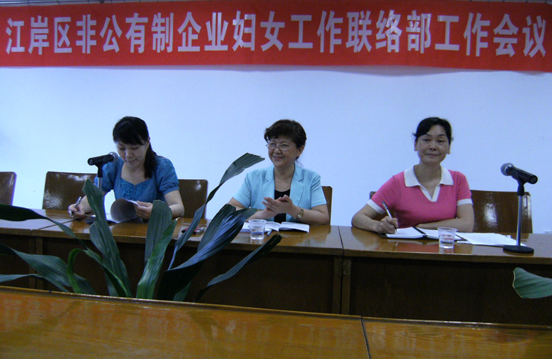 湖北東信醫藥有限公司參加江岸區非公企業婦女工作聯絡部工作會議