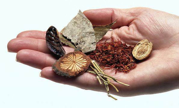 藥品注冊變革，中藥迎大利好！