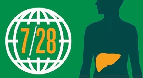 2015國內肝炎用藥市場超400億元：護肝藥為領先品類，占比1/...