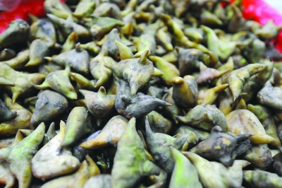 菱角可健脾養胃補血 食用注意3要點