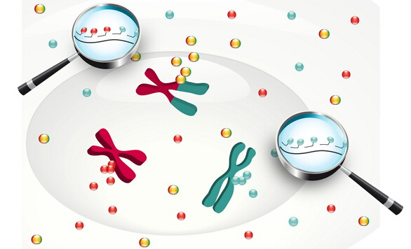 醫藥產業關鍵詞：創新與規范