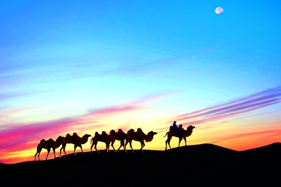 借“一帶一路”東風 中醫藥大有可為