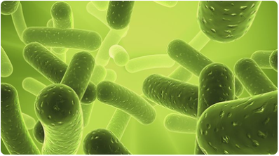 你知道陰道清潔度反映什么嗎？