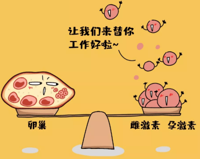 雌孕激素在調整月經周期的中的妙用